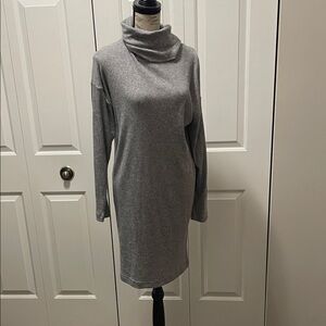 Time and Tru Gray Turtleneck Dress
